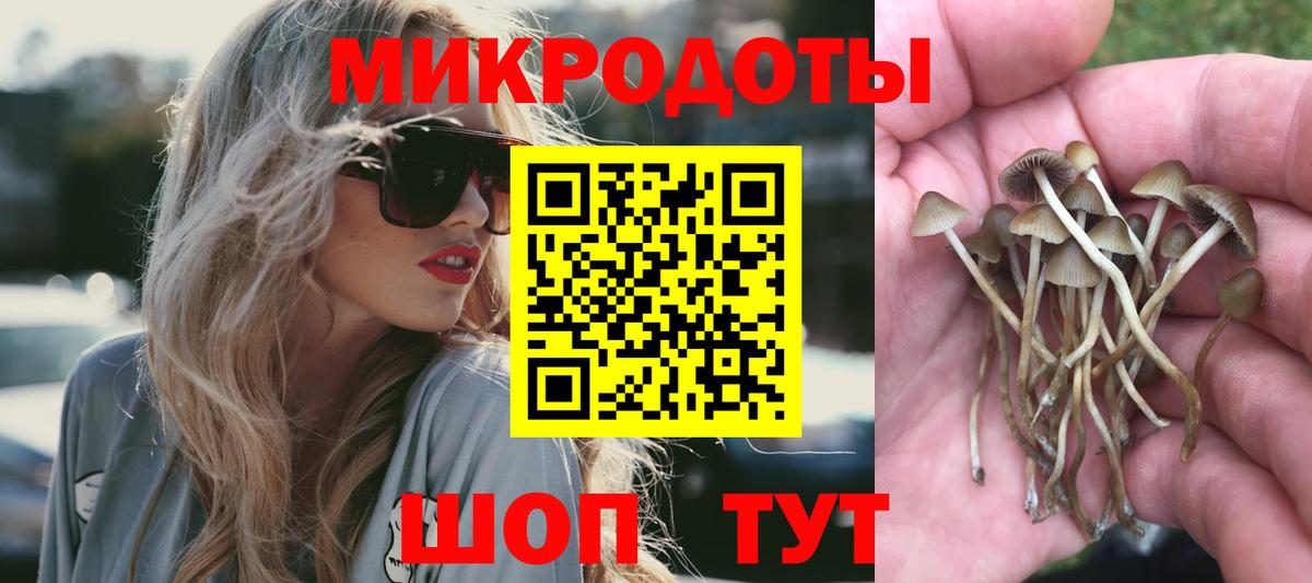 Советская Гавань  Галлюциногенные грибы Magic Shrooms  Вход с VPN 